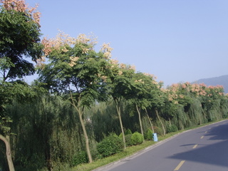 林学院