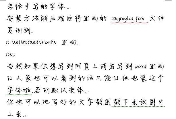 徐静蕾, 字体