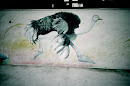 Ostrich Mural