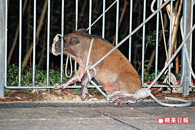 [clip_image001[4].jpg]