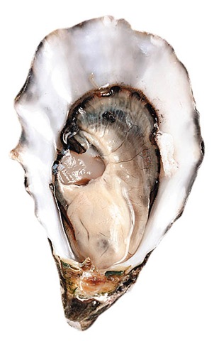 [clip_image006[4].jpg]