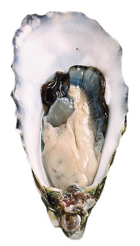 [clip_image007[4].jpg]