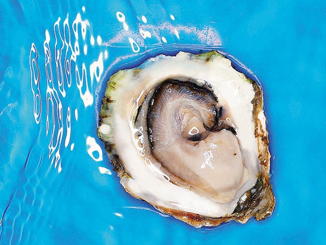 [clip_image009[4].jpg]