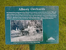 Albany Orchards