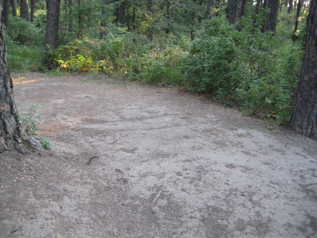 [IMG_09652.jpg]