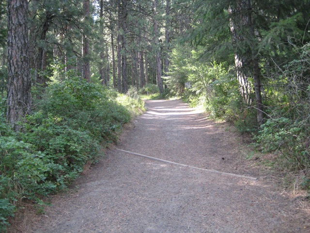 [IMG_09962.jpg]