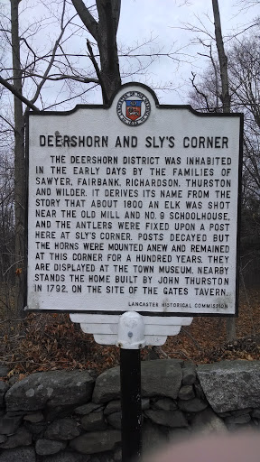 Deershorn and Sly's Corner