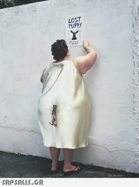 LOST PUPPY  oe-ks.com