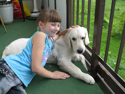 Golden Retriever i Kasia