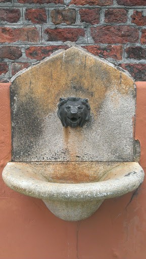 The Lion's Head Water Fountain