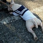DSCN2391.JPG