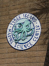 Tybee Island Marine Science Center