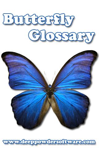 Butterfly Glossary