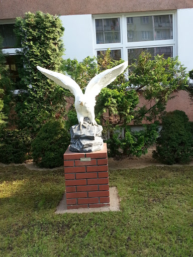 White Eagle Poznan