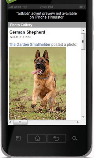 【免費生活App】German Shepherd!-APP點子