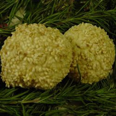 Aunt Anne's Sesame Cookies