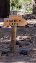 Barney Lake Trail Marker