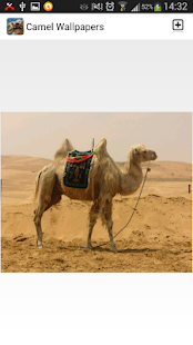How to mod Camel Wallpapers 2.0 apk for android
