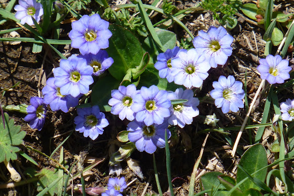 Spotting Image 1