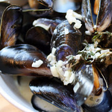 Creamy Mussels with Sauce Roquefort