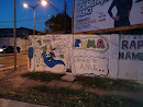 Graffiti puma paz