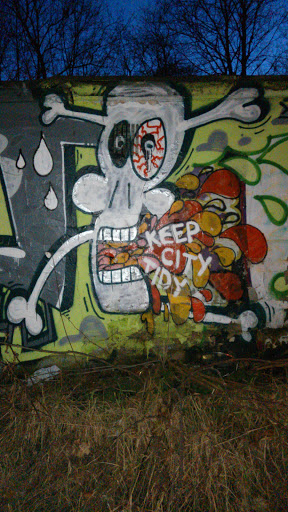 Keep City Tidy Mural