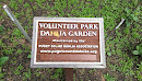 Volunteer Park Dahlia Garden