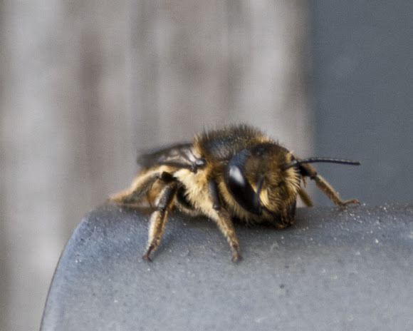 Spotting Image 1