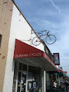 Durham Cycles Flying Bike
