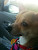 User profile picture thumbnail