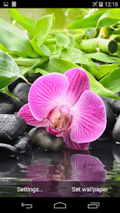 How to install Orchid Flower Live Wallpaper 1.0 unlimited apk for android