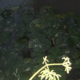 IMG_3744.JPG