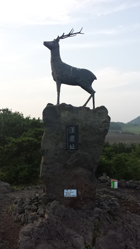 Deer On The Rocks