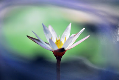 Help Image 1