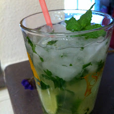 Minty Lime Freezer