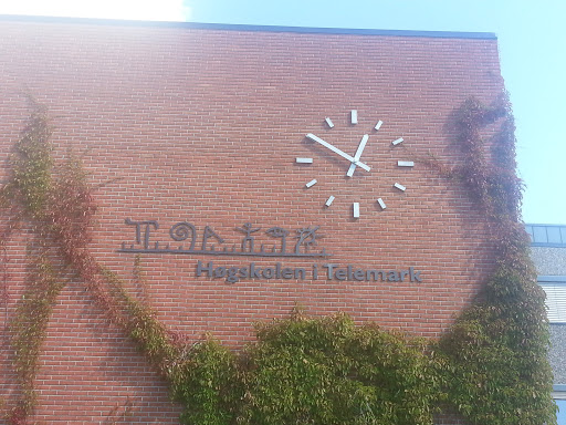 Telemark University College 