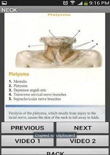 How to mod head & neck patch 1.0 apk for android