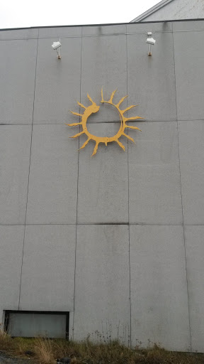 The Sun on the Wall