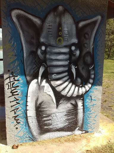 Graffiti Del Elefante 
