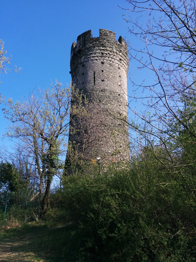 Torre Del Colle