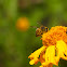 Abeja