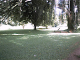 pic_0081.jpg