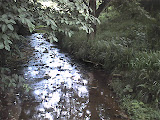 pic_0044.jpg