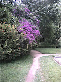 pic_0105.jpg