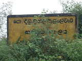 DSC06657.JPG