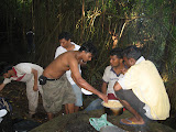 cake 252.jpg