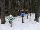 Jennings Forest