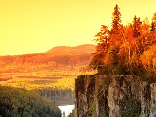 Blackberry wallpaper