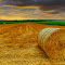 20110723_090222_137_HDR_FRX_NEBO.jpg