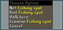 fishing options